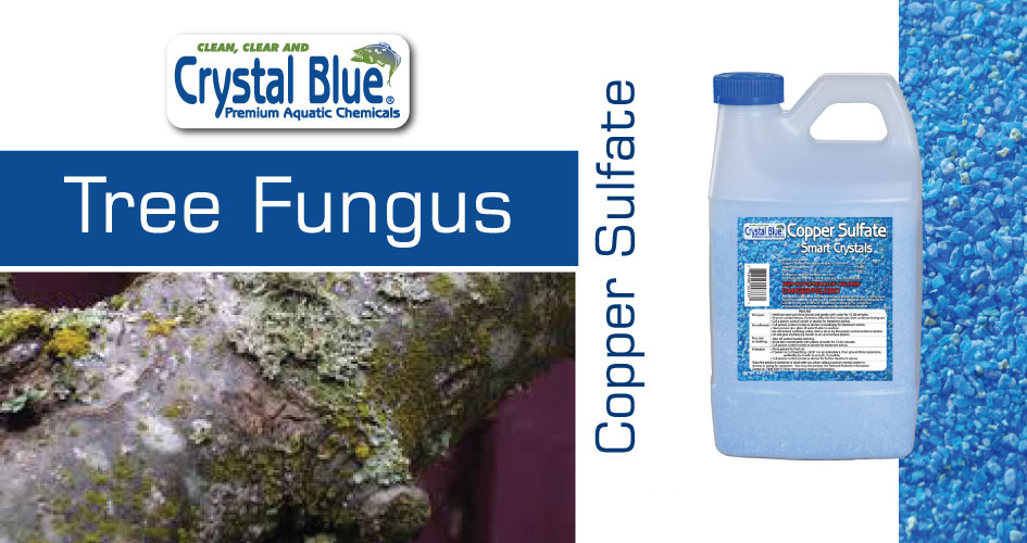 Copper Spray For Plants Captions Hunter